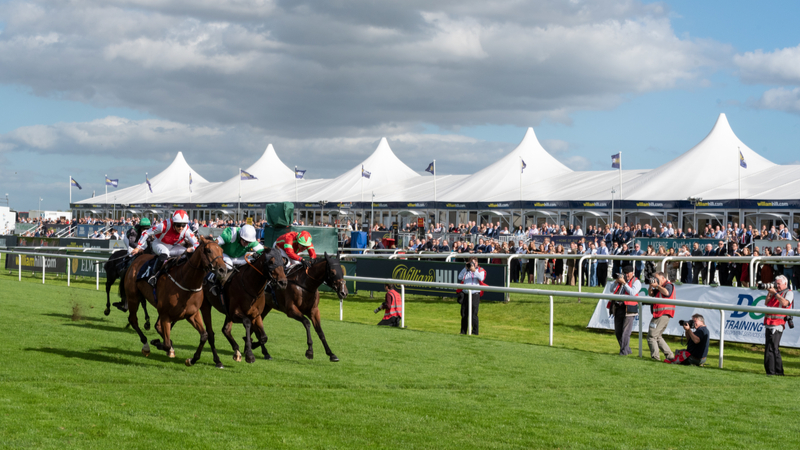 And they’re off! Arena Racecourses appoint Expansive FM