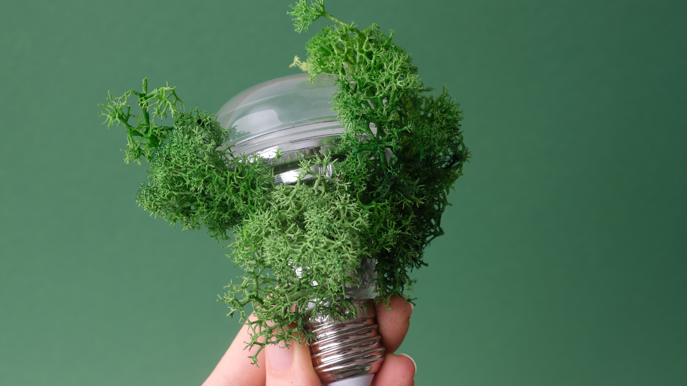 How to Write a Sustainability Strategy for Facilities Managers